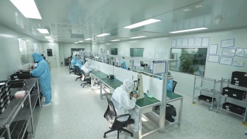 科技強國 創新在吉林發力，重點產業科技創新助推創新型省份建設